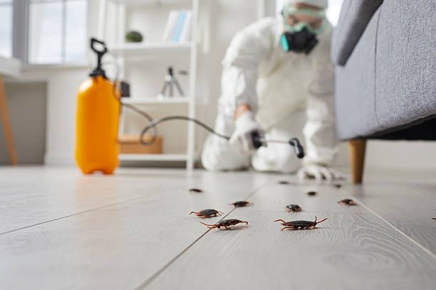 Trusted Cockroach Control service in Cape Coral, FL - Nex Pest Control